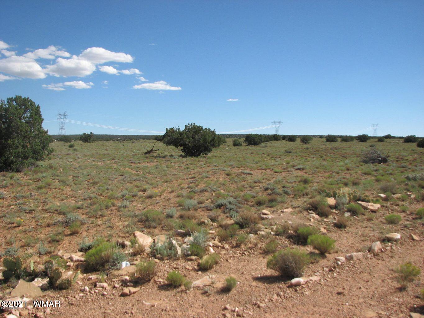 Lot 306 Chevelon Canyon Ranch Heber, AZ 85928 - Photo 3 of 5