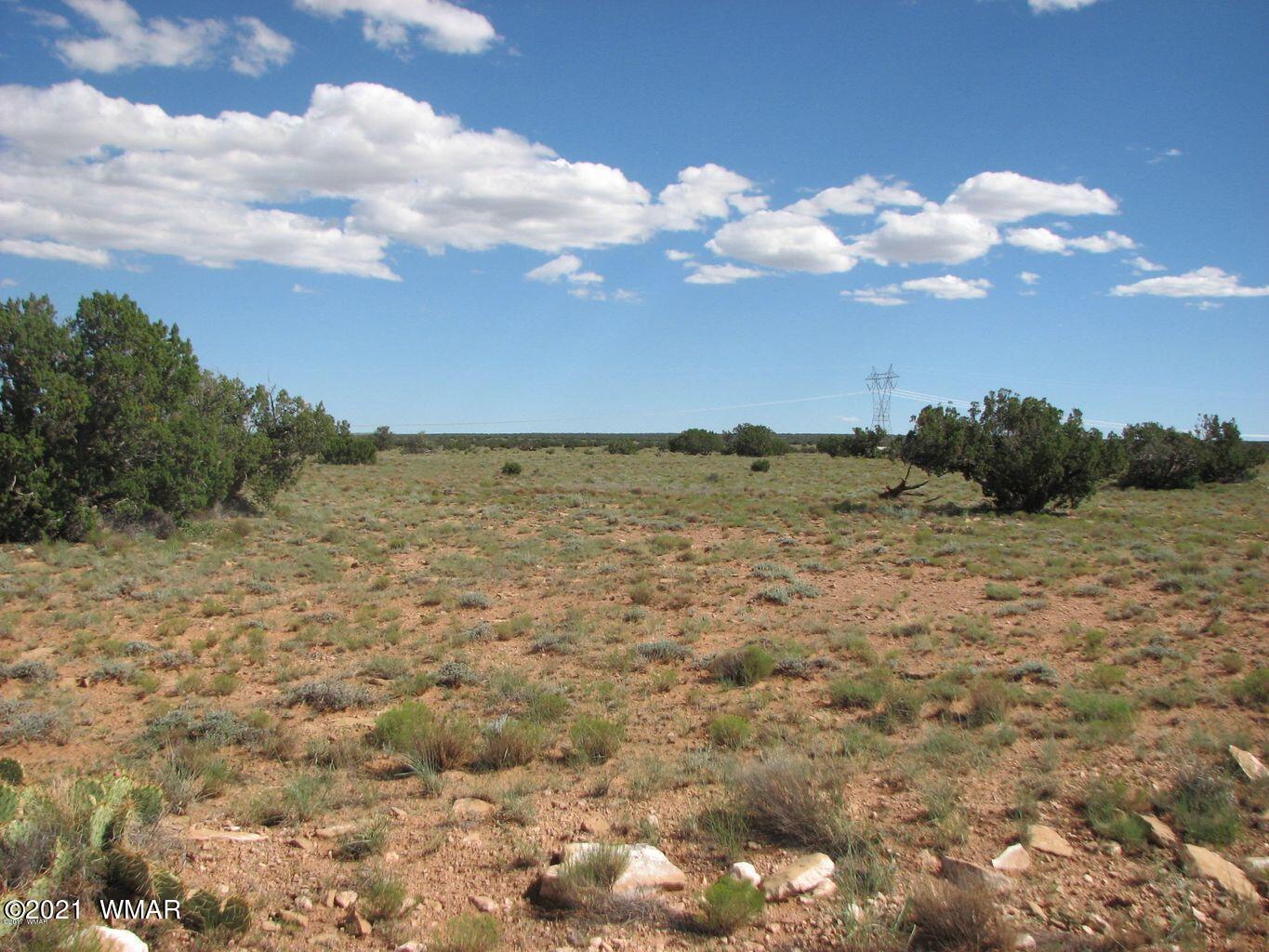 Lot 306 Chevelon Canyon Ranch Heber, AZ 85928 - Photo 5 of 5