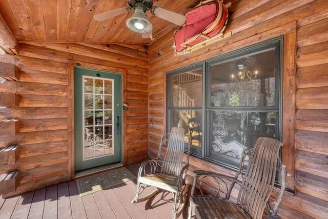 a view of a yard with plants and trees