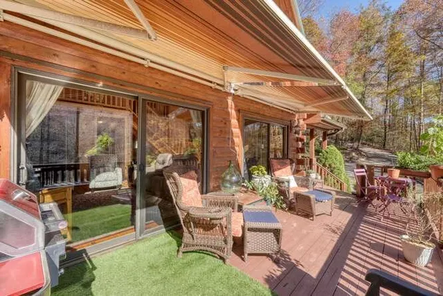 a view of a park with large trees