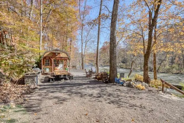 a view of a yard with trees