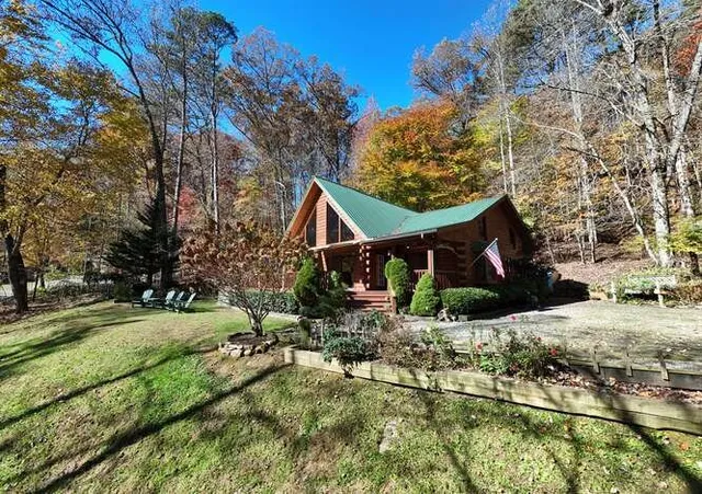 a view of a forest with mountains in the background