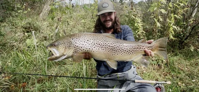 $824,900 | 228 Caddis Trail, Hayesville, NC 28904