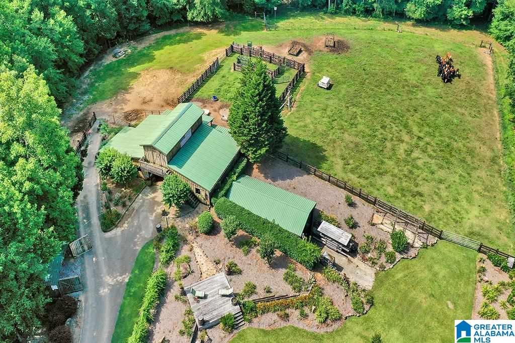1675 Canoe Creek Road Springville, AL 35146 - Photo 47 of 50