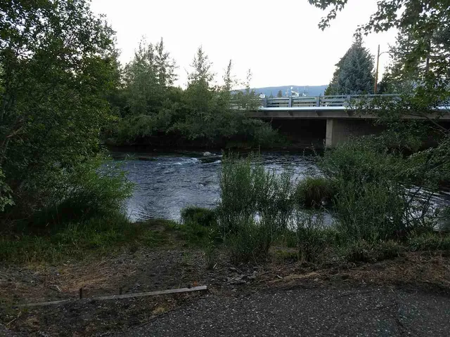 a view of a lake with a forest