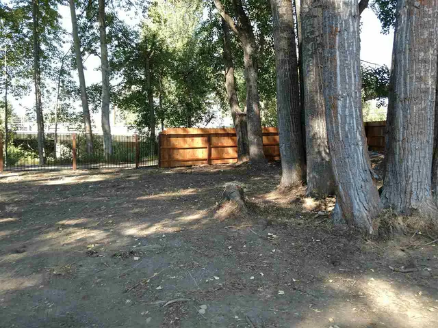 a view of a house with a yard and tree s