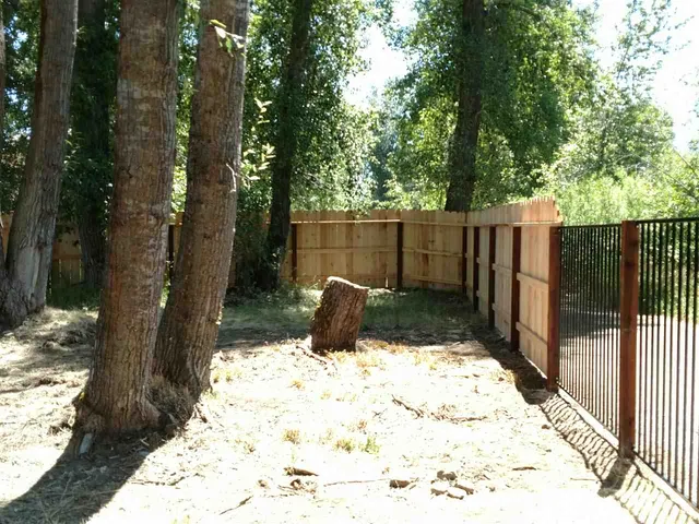 a view of a backyard of a house with a outdoor space