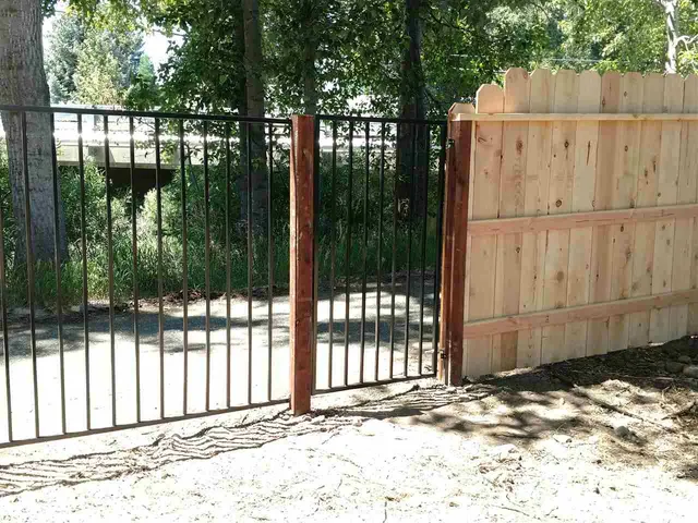 a tree in the middle of a yard
