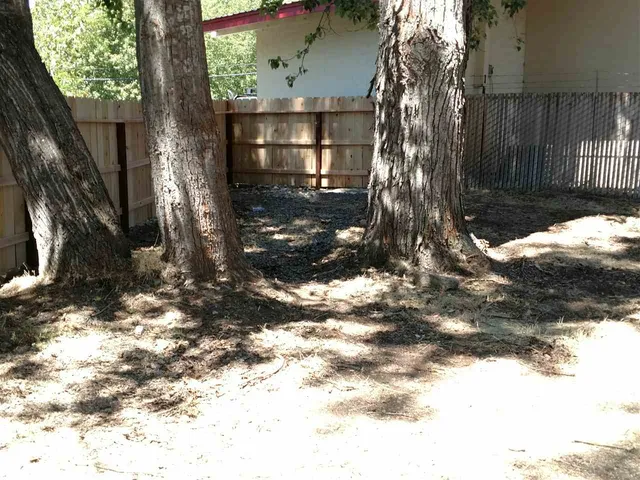 a view of a tree in front of a house