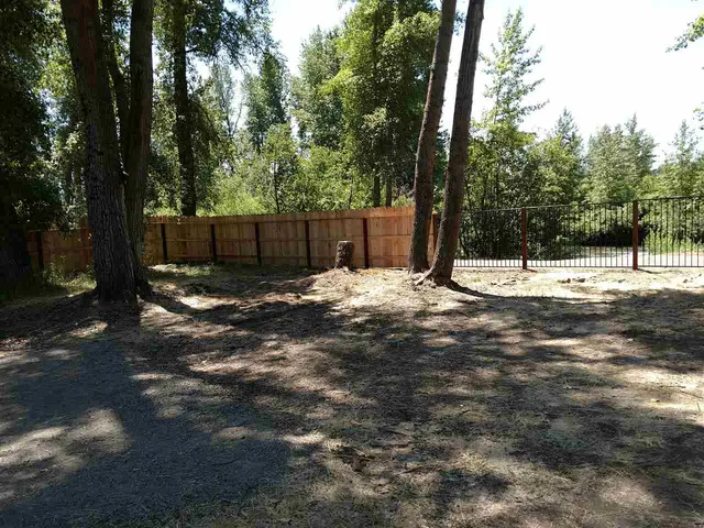 a view of a backyard with large trees and a barn