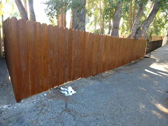 a view of a forest with trees in the background