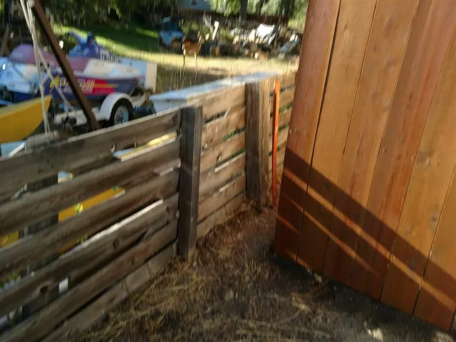 a view of a trees and tree in the background