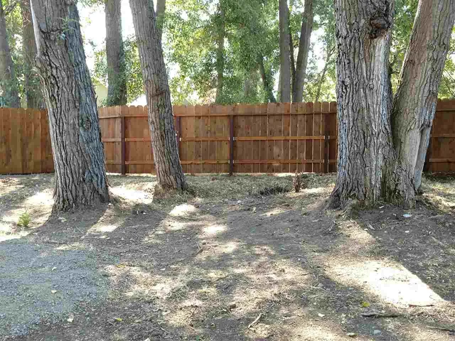 a view of a street with trees in the background