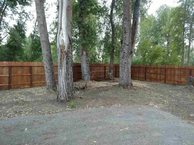 a view of a backyard