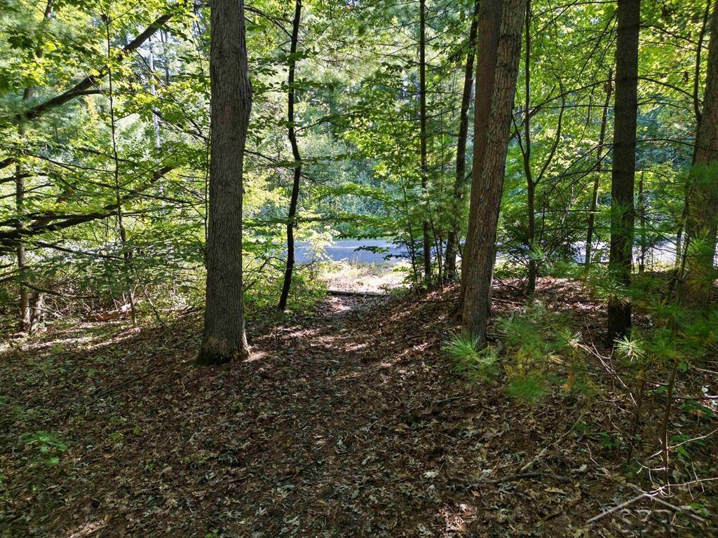 Vl Sandy Ridge Drive Hope, MI 48628 - Photo 12 of 12