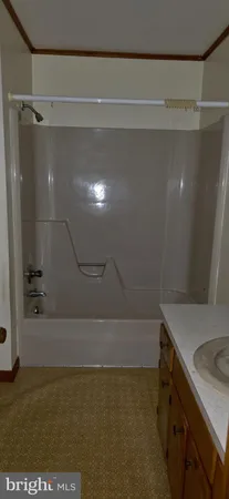 a bathroom with a shower and a sink