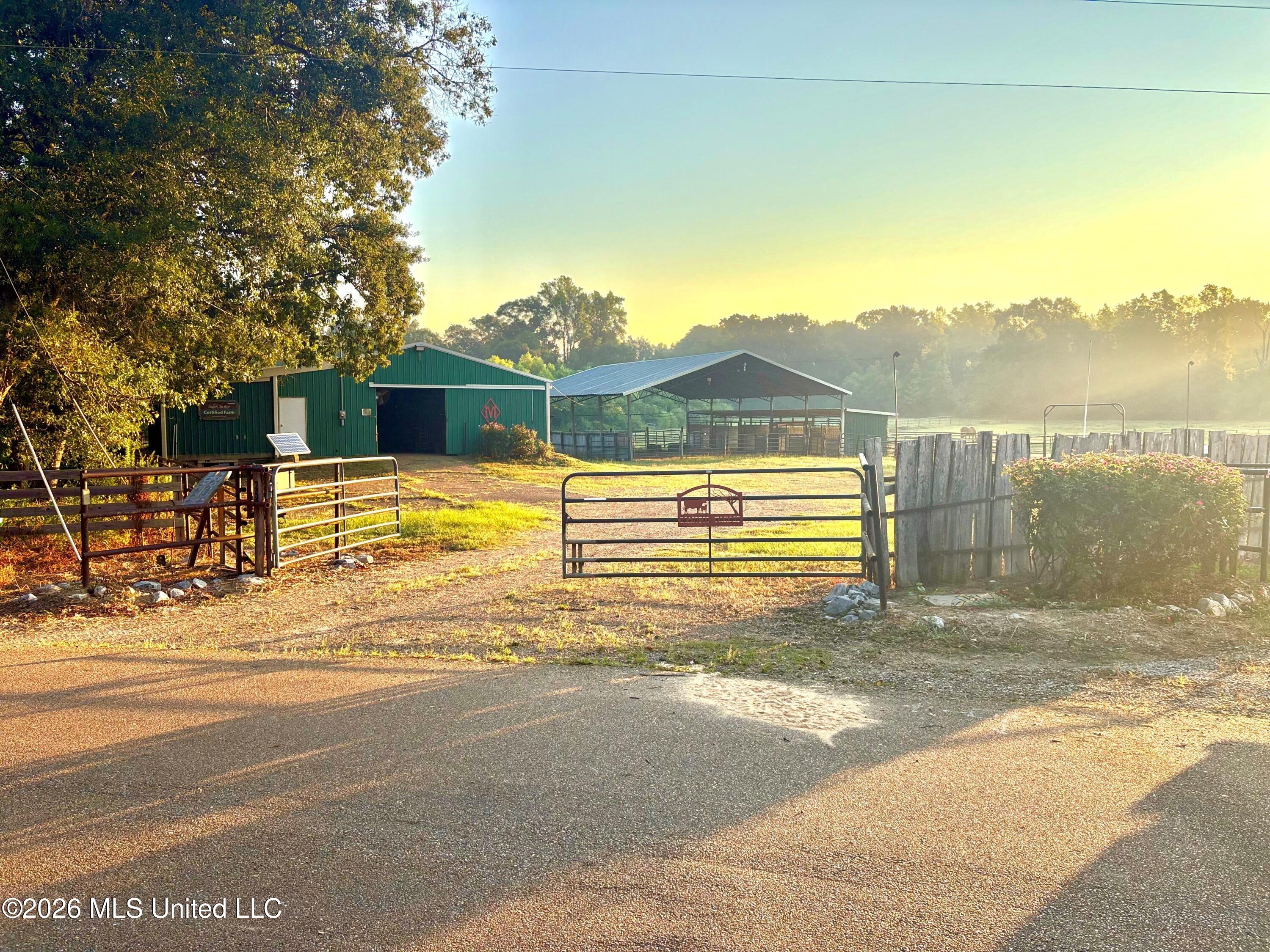 253 West Petros Road Pearl, MS 39208 - Photo 1 of 47 253 W Petros Rd--45