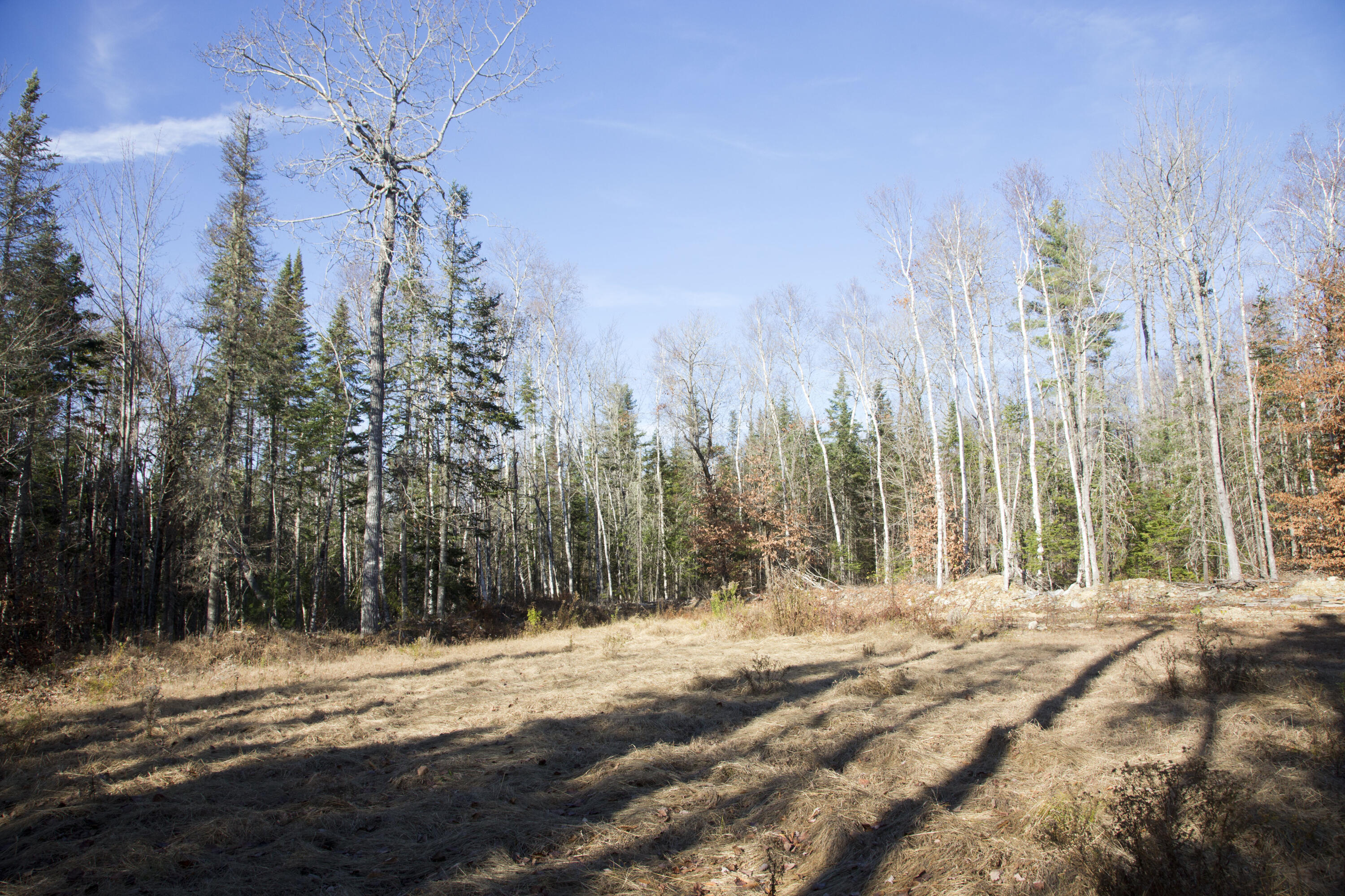 81 Poplar Road Glenburn, ME 04401 - Photo 8 of 16 Meadow