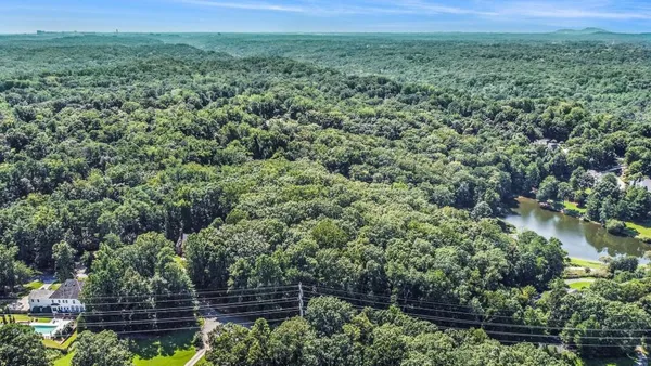 a view of a lush green forest with lots of trees