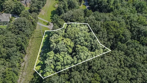 an aerial view of a backyard