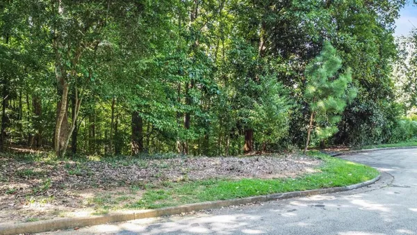 a view of a yard with a tree