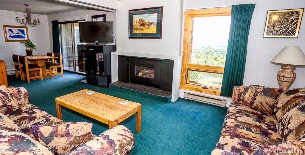 2602 Longthong Road, Unit 207 Steamboat Springs, CO 80487 - Photo 3 of 14 Gallery Image 3