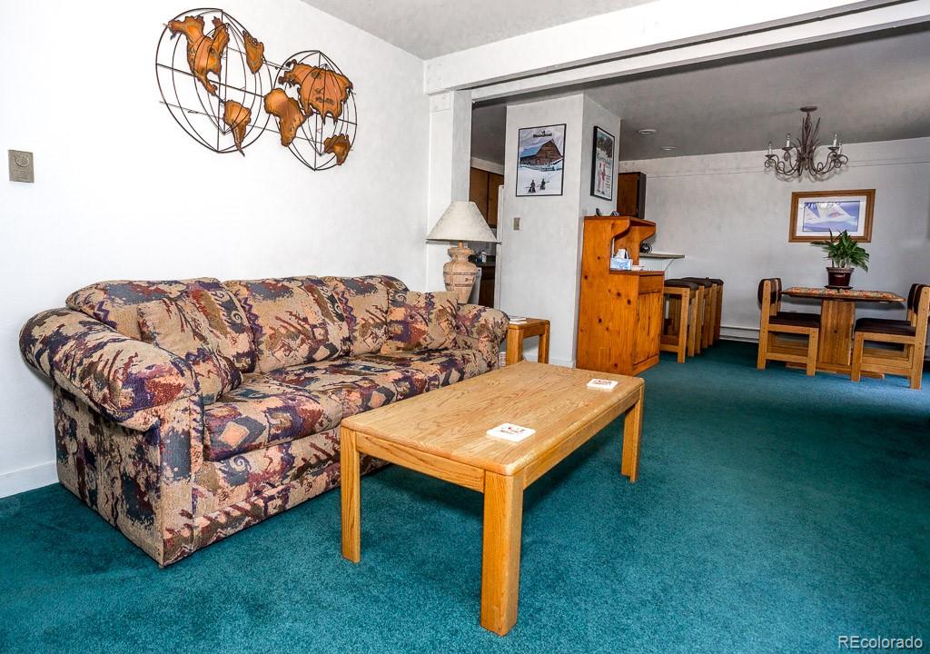 2602 Longthong Road, Unit 207 Steamboat Springs, CO 80487 - Photo 4 of 14 Gallery Image 4