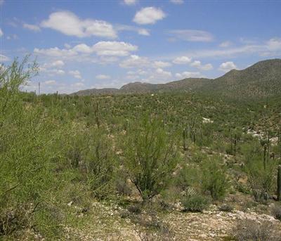 0 Carpenter Ranch Road Marana, AZ 85653 - Photo 2 of 3