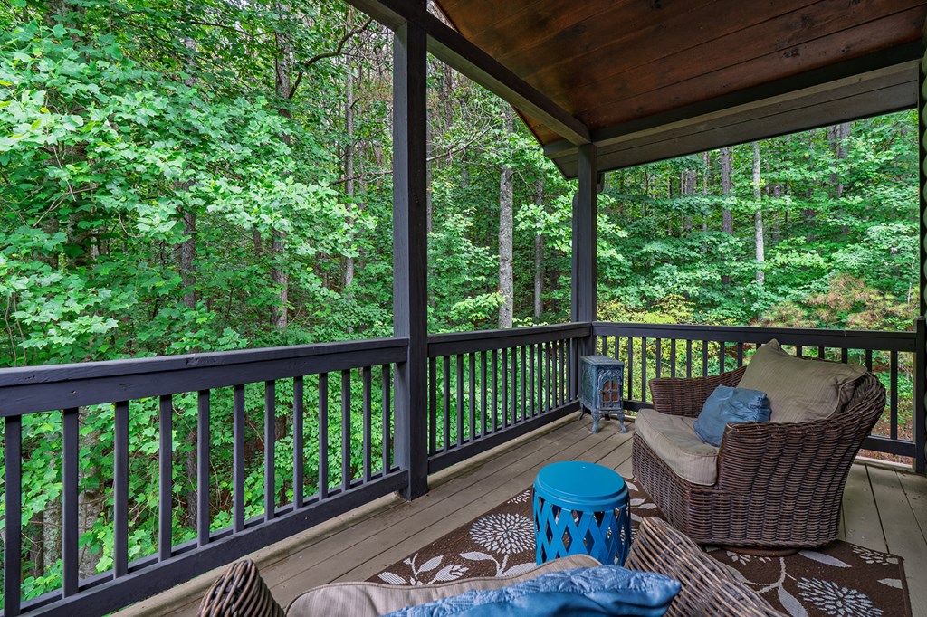 55 Ridge Top Drive Ellijay, GA 30536 - Photo 46 of 76