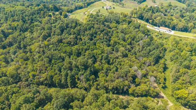 $129,000 | 0 Goose Branch Road, Lynchburg, TN 37352