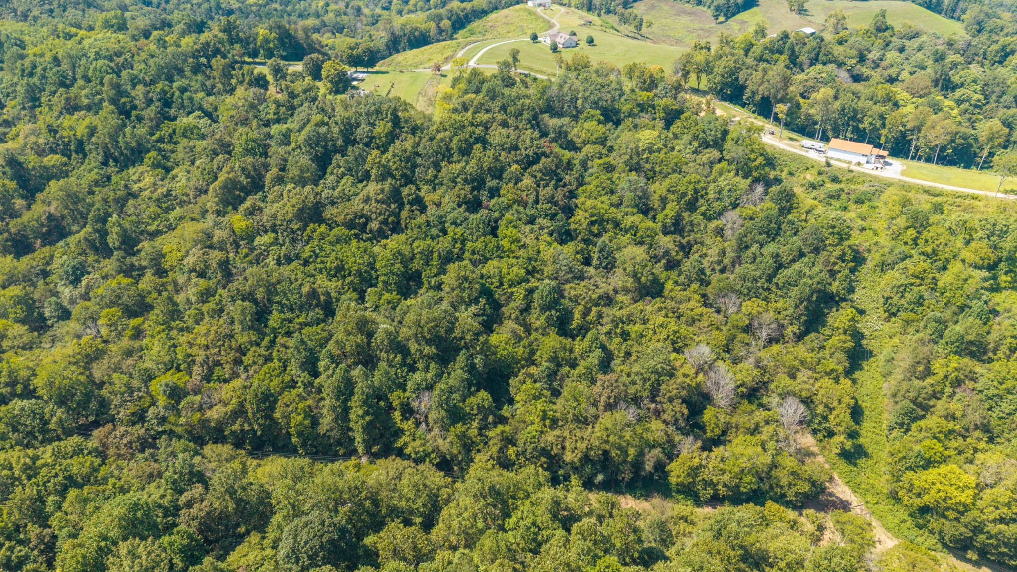 0 Goose Branch Road Lynchburg, TN 37352 - Photo 14 of 15