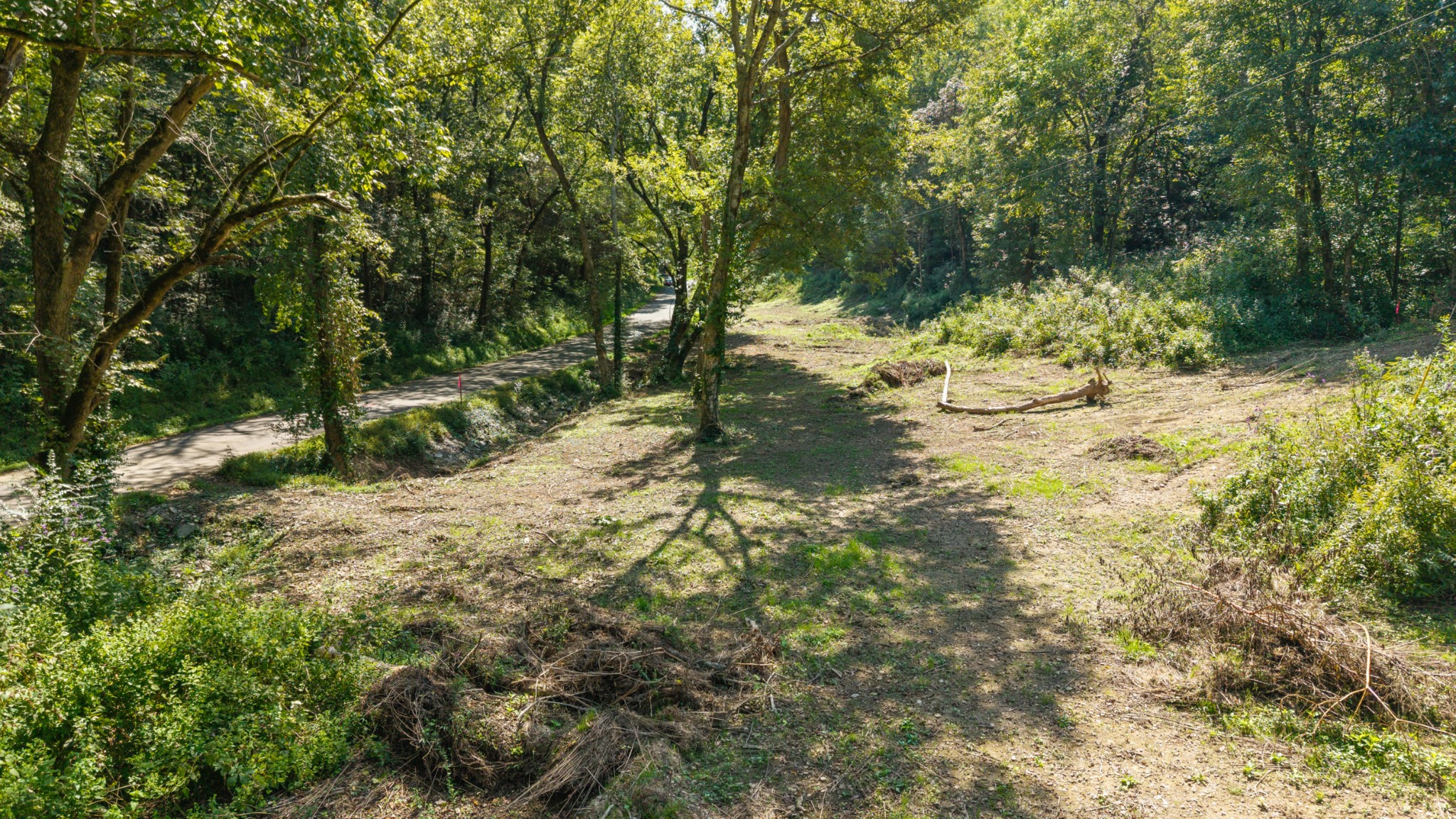 0 Goose Branch Road Lynchburg, TN 37352 - Photo 2 of 15