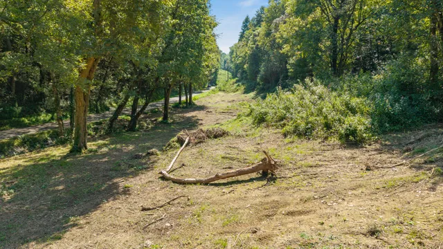 $129,000 | 0 Goose Branch Road, Lynchburg, TN 37352