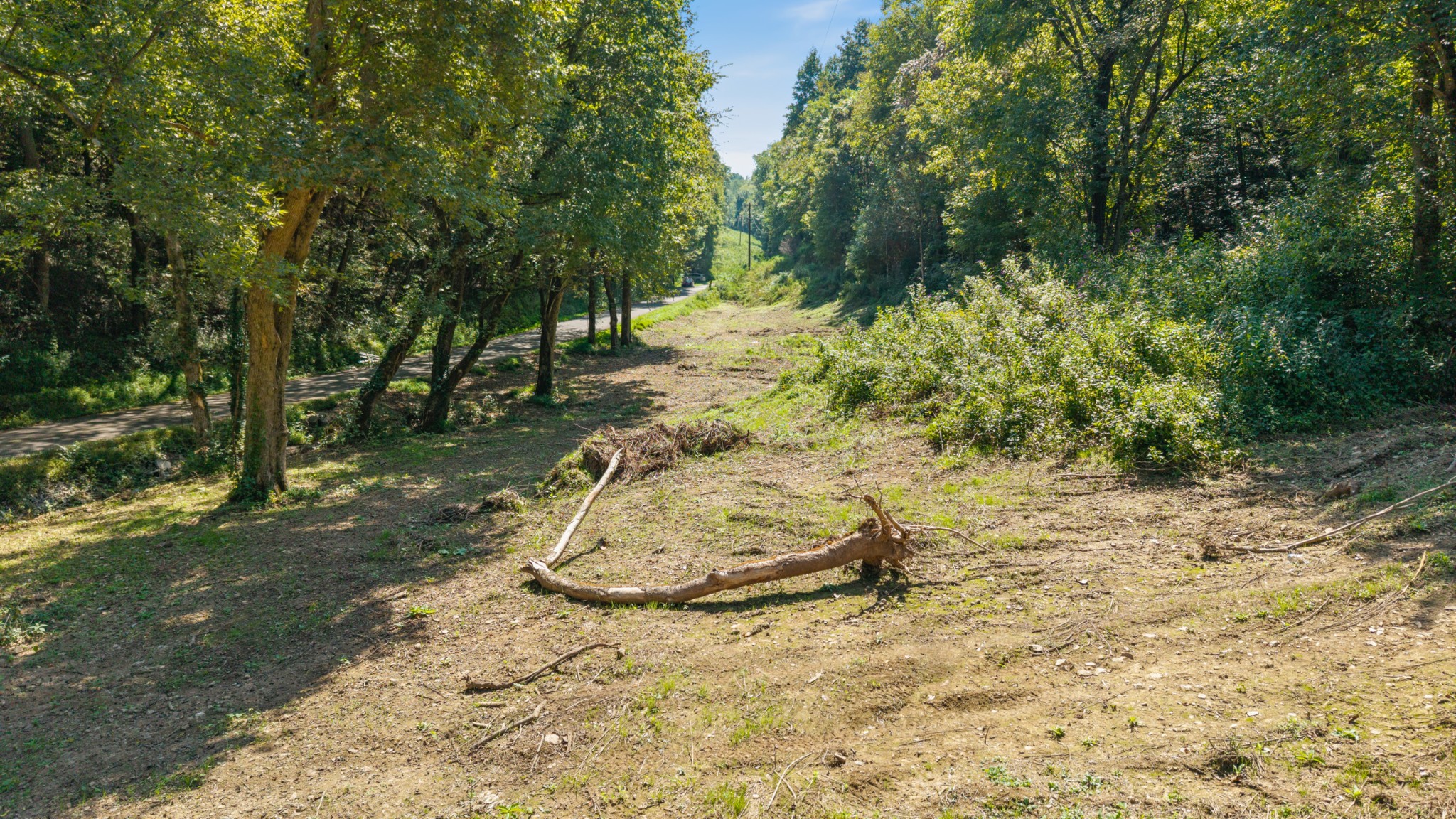 0 Goose Branch Road Lynchburg, TN 37352 - Photo 3 of 15