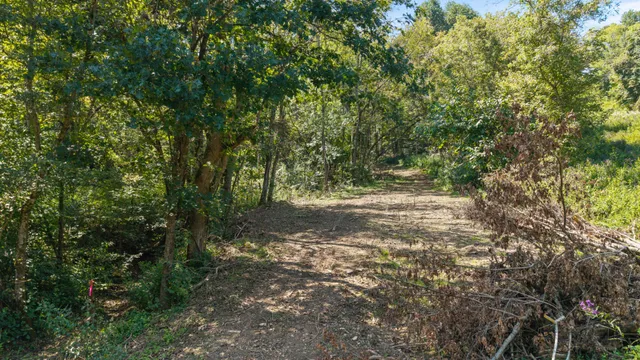 $129,000 | 0 Goose Branch Road, Lynchburg, TN 37352