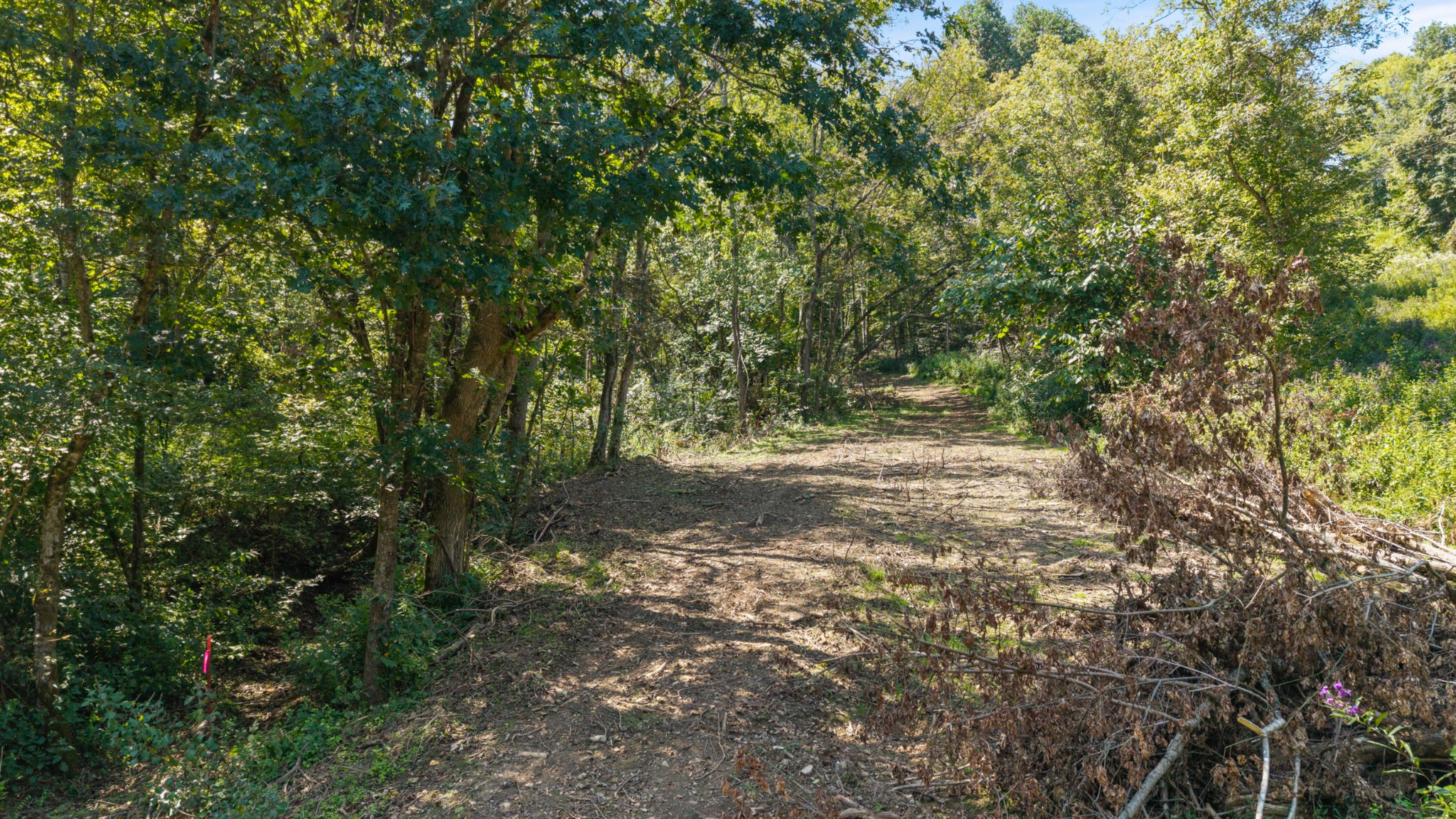 0 Goose Branch Road Lynchburg, TN 37352 - Photo 6 of 15