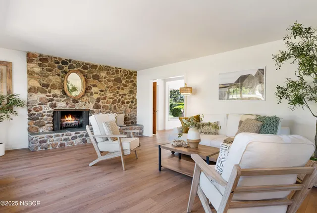 a living room with furniture and a potted plant