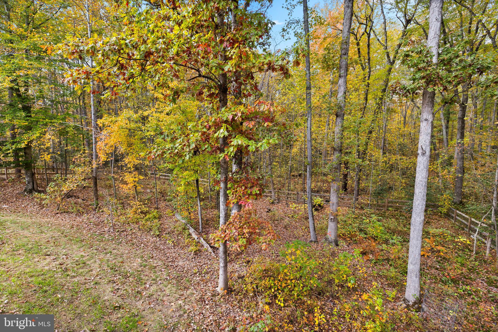 9113 Royal Court Partlow, VA 22534 - Photo 31 of 38 Gorgeous wooded lot at the end of a cul-de-sac