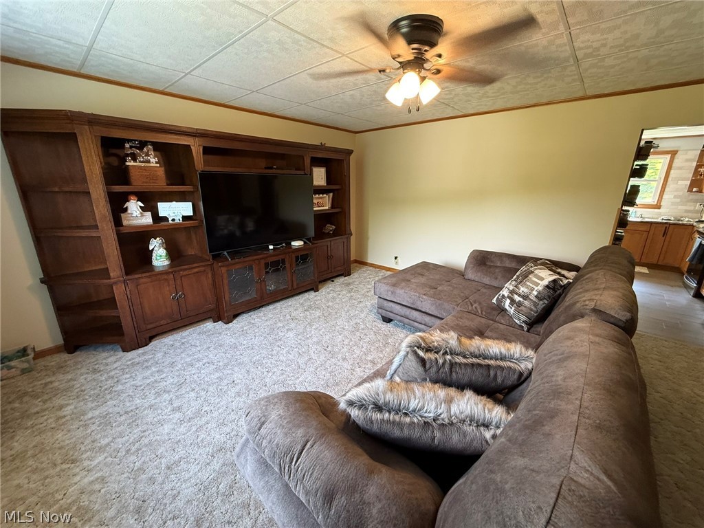 4223 Blacksnake Hill Road Northeast Dover, OH 44622 - Photo 21 of 50