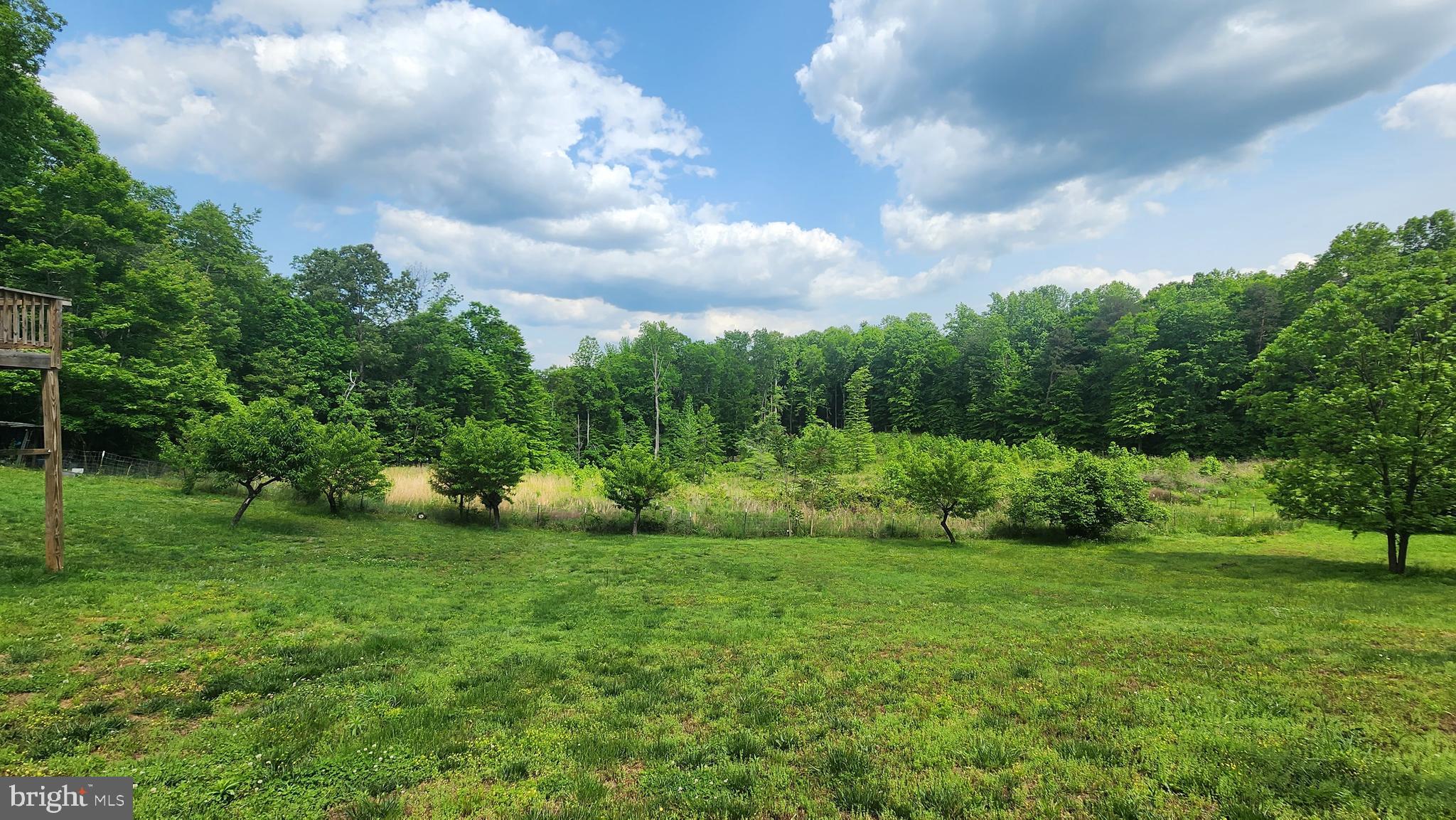 3234 Yanceyville Road Louisa, VA 23093 - Photo 31 of 37 Gallery Image 31