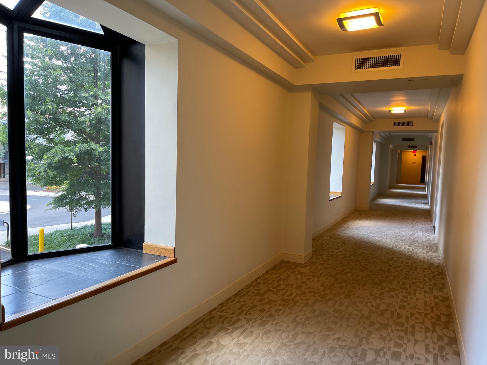 520 N Street Southwest, Unit S116 Washington, DC 20024 - Photo 42 of 94 Love a light filled Hallway