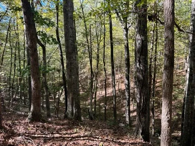 $110,000 | 550 Union Church Ms 39668, Wesson, MS 39191