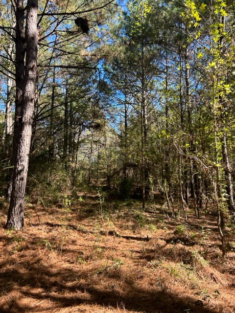 550 Union Church Ms 39668 Wesson, MS 39191 - Photo 11 of 53 Photo 11