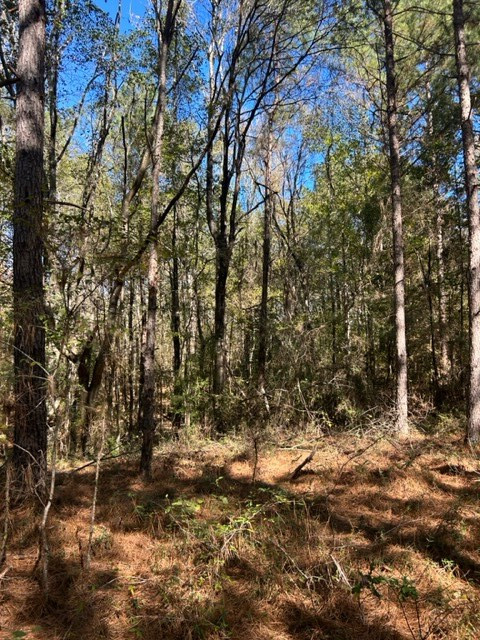 550 Union Church Ms 39668 Wesson, MS 39191 - Photo 12 of 53 Photo 12