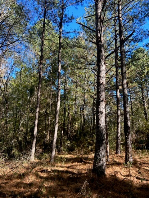 550 Union Church Ms 39668 Wesson, MS 39191 - Photo 13 of 53 Photo 13