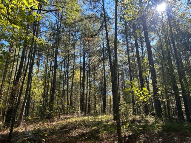 550 Union Church Ms 39668 Wesson, MS 39191 - Photo 15 of 53 Photo 15