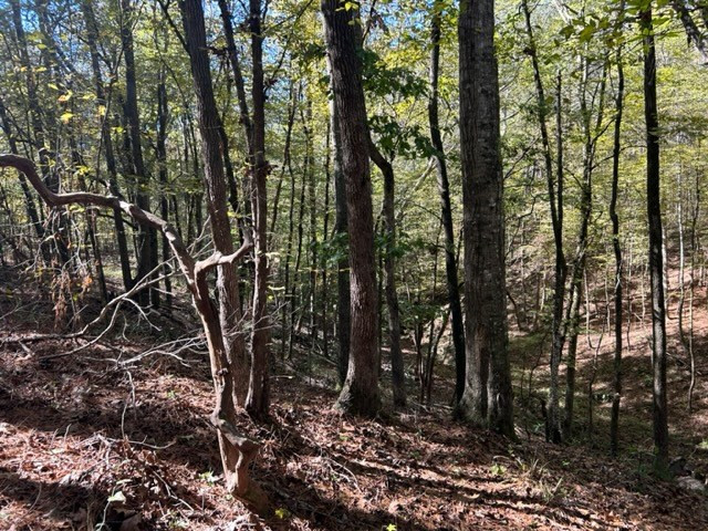 550 Union Church Ms 39668 Wesson, MS 39191 - Photo 16 of 53 Photo 16