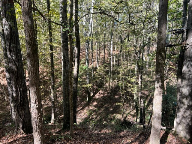 550 Union Church Ms 39668 Wesson, MS 39191 - Photo 17 of 53 Photo 17