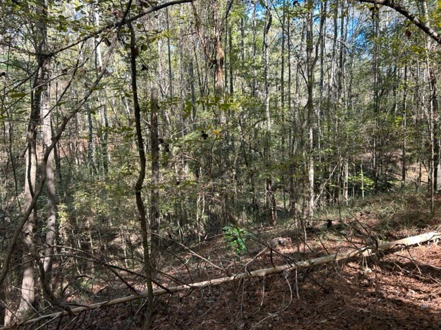 550 Union Church Ms 39668 Wesson, MS 39191 - Photo 18 of 53 Photo 18