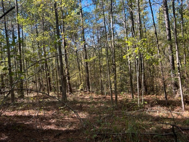 550 Union Church Ms 39668 Wesson, MS 39191 - Photo 19 of 53 Photo 19